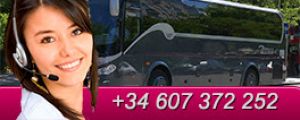 alquiler minibus - alquiler de minibuses en madrid