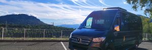 Alquiler de Minibuses opciones y Precios